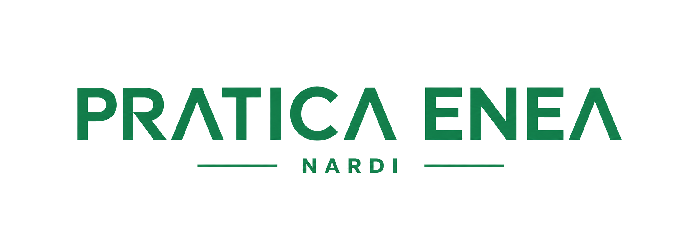 Pratiche ENEA Nardi